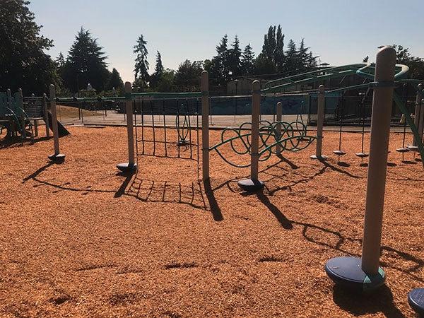 playground equipment surrounded by wood fibers